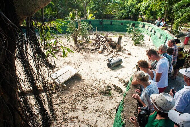 Super Combo Full Day Tour - Who Is This Tour Best For?