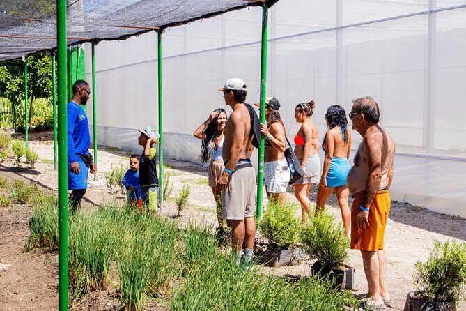 Super Combo Full Day Tour - The Sum Up