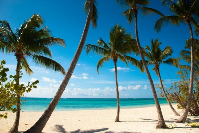 Super Combo Full Day Tour - What We Think About the Price and Overall Value