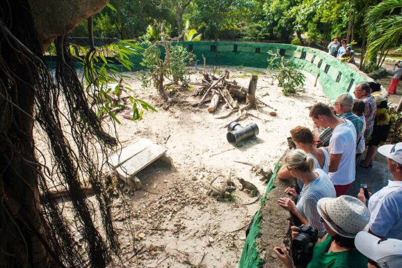 Super Combo Full Day Tour - Who This Tour Is Perfect For