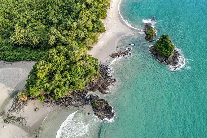 Super Combo: Manuel Antonio Park + Catamaran tour from San Jose - The Sum Up