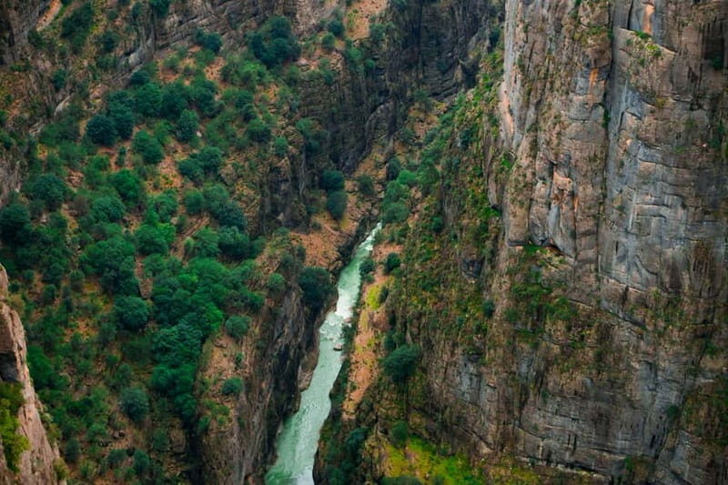 Super Combo: Ziplining, Rafting, Jeep & Buggy Safari w/Lunch - Who Is This Tour Best For?