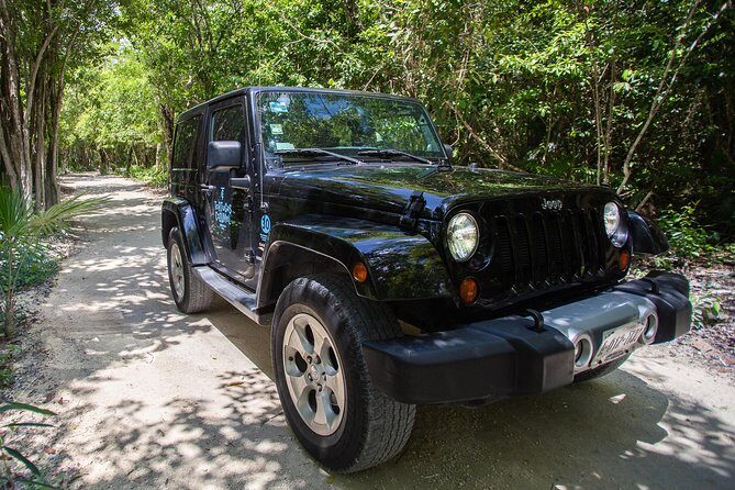 Super Cozumel Combo Snorkel by Boat and Jeep Exploration (Private) - The Scenic Drive Along Cozumel’s Eastern Coast