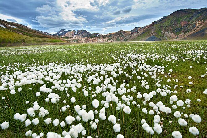 Super Jeep Tour to Landmannalaugar - An Adventure to Iceland’s Majestic Highlands: Super Jeep Tour to Landmannalaugar
