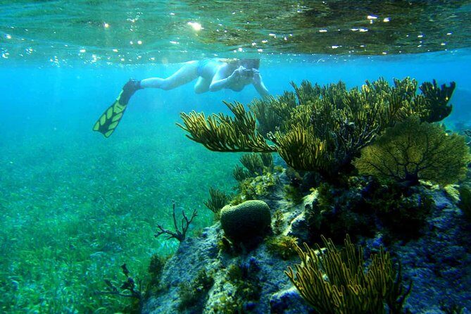 Super Man Zip Line with Wildlife Eco-Park and Snorkel - Who Should Think Twice?