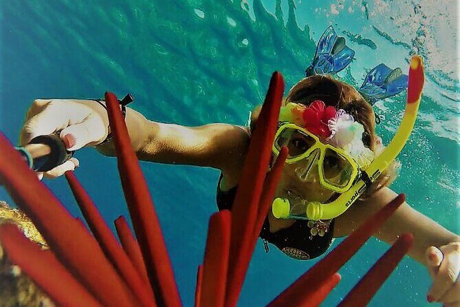 Super Raft - Private Charter Maui 3 Hour Snorkel to Coral Gardens or Molokini - The Sum Up