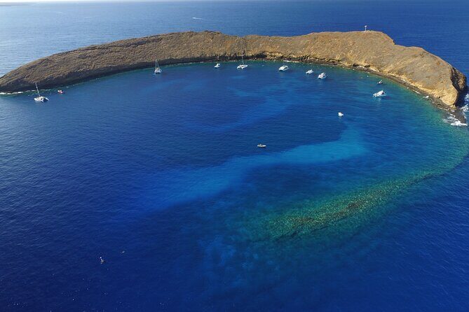 Super Raft - Private Charter Maui 3 Hour Snorkel to Coral Gardens or Molokini - FAQ