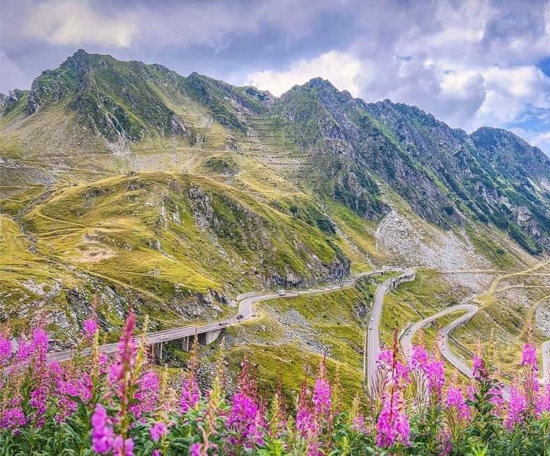 SUPER TOUR: Top Gear Road with Wild Bears Sightseeing - Who Will Enjoy This Tour?