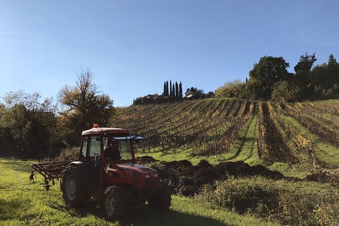 Super Tuscan & IGT wines, Evo Oil & Balsamic Vinegar Tasting - FAQ
