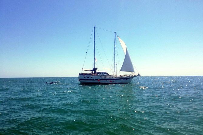 Superb Black Sea Yacht Picnic with Food & Drinks - Key Points