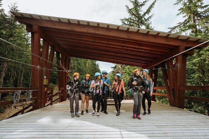 Superfly Ziplines on Cougar Mountain - includes 4 ziplines! - Who Will Love It?