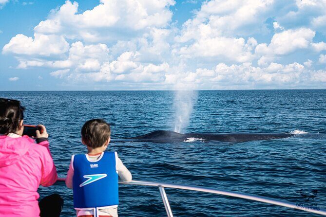 Supreme 2hr Whale/Dolphin Watching Newport Beach, 6 person max - Key Points