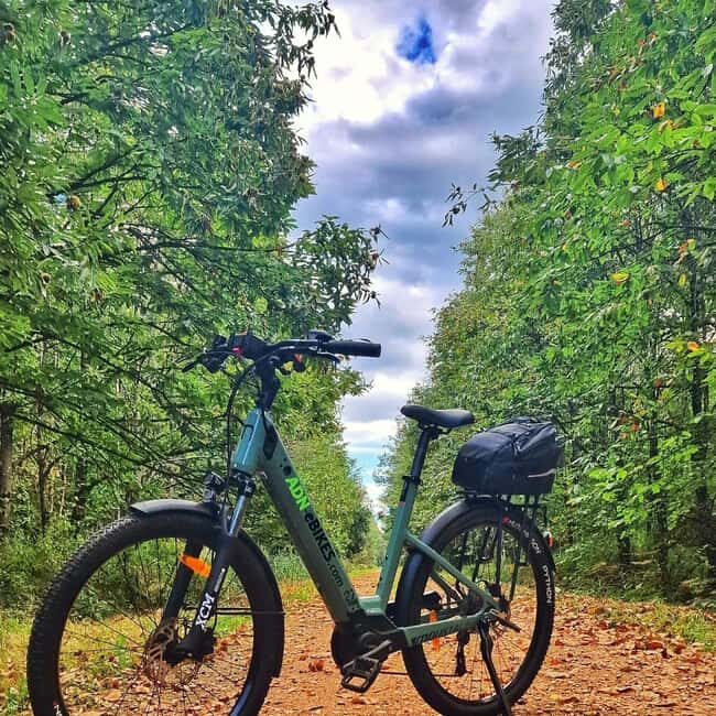 Surbourg: Electric bike rental by the day - Who Would Enjoy This Tour?