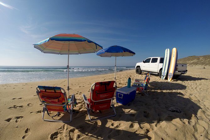 Surf Lesson Tours (Full day) - Frequently Asked Questions