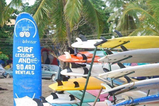 Surf Lessons - The Full Experience: What to Expect on Your Surf Day in Jaco