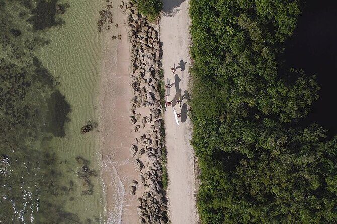 Surf lessons Guadeloupe beginners intermediate confirmed - FAQs