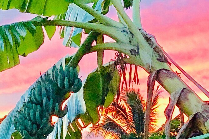 Surf Lessons on the North Shore of Oahu - FAQs