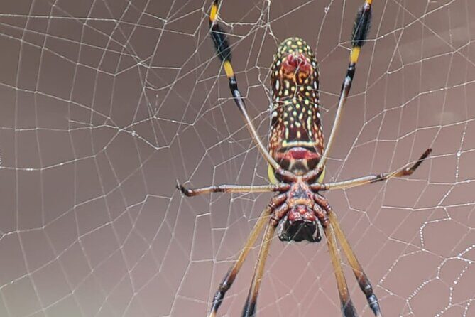 Surf Lessons,Grow your skills into the Pacific Ocean - FAQs