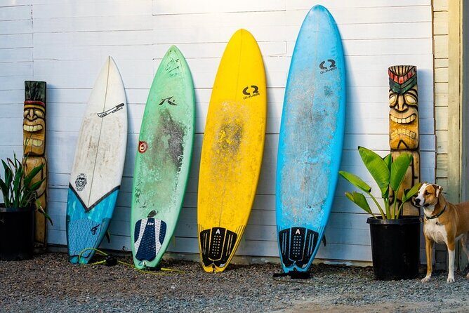 Surfboard Rental All Day Solana Beach Fletchers Cove - Key Points