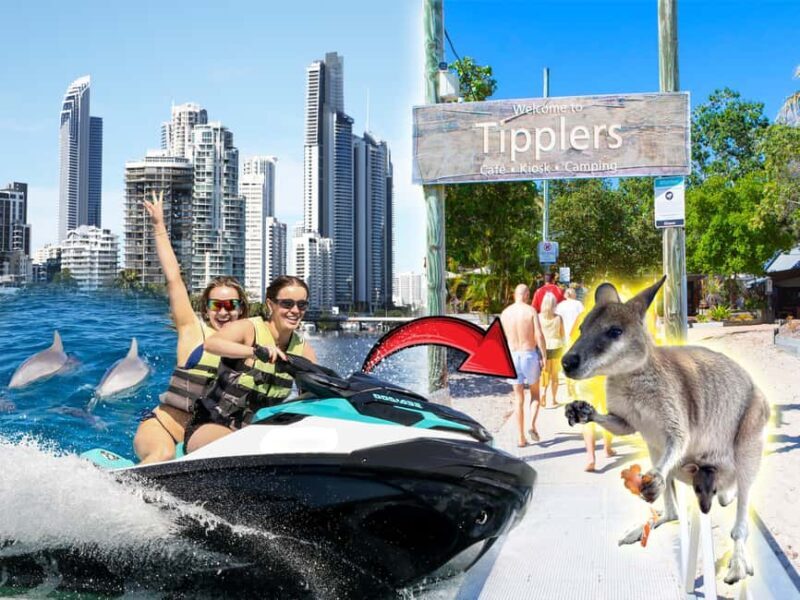 Surfers Paradise: 2 Hour Tropical Island Jet Ski Tour - An In-Depth Look at the Experience