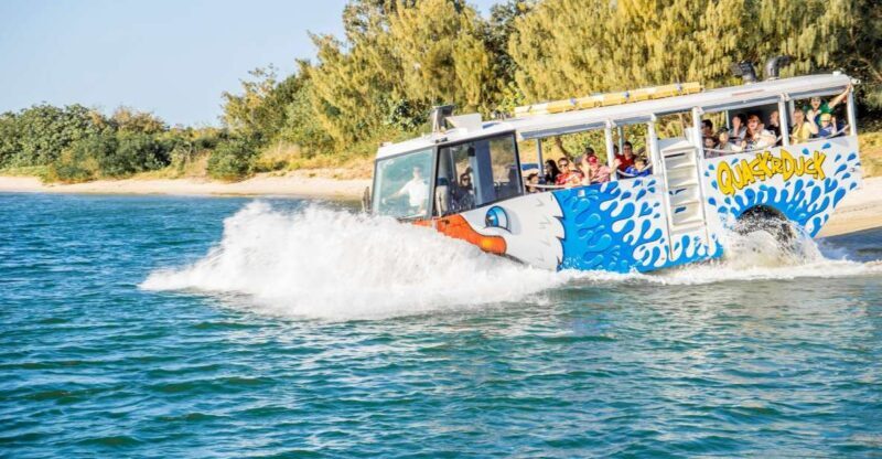 Surfers Paradise: Guided Gold Coast Amphibious Bus Tour - An In-Depth Look at the Amphibious Bus Tour