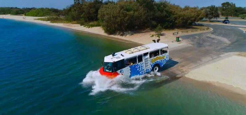Surfers Paradise: Guided Gold Coast Amphibious Bus Tour - Who Will Love This Tour?