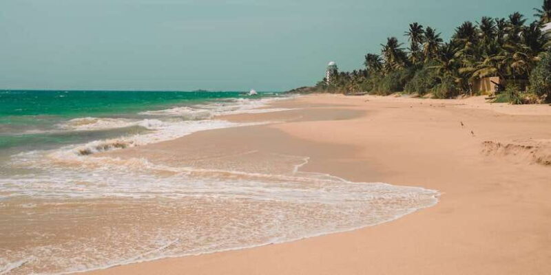 Surfing in Unawatuna - FAQ