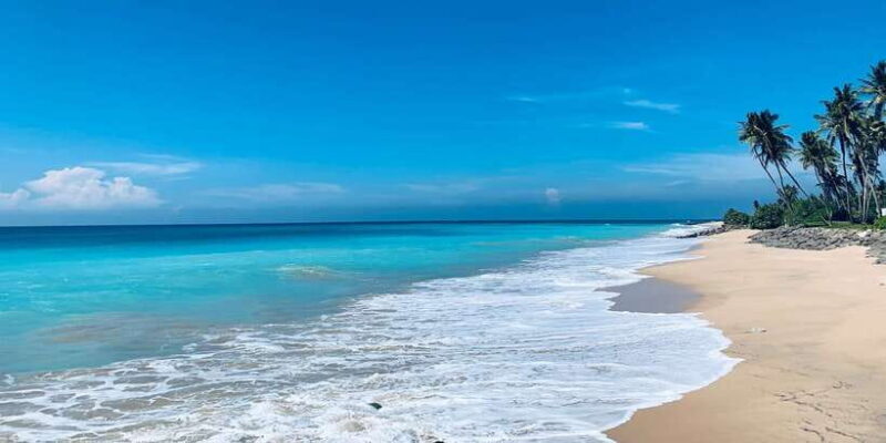 Surfing in Weligama - A Detailed Breakdown of the Weligama Surf Tour