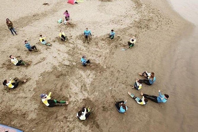 Surfing, Sandboarding & wild Sea lions + Chilean drinks & food - An In-Depth Look at Your Chilean Coastal Day