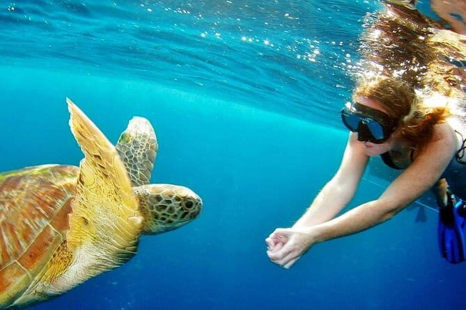 Surin Island Snorkeling by Speedboat from Khao Lak - Is This Tour Worth the Price?