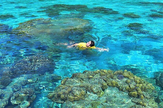 Surin Islands Snorkeling Day Trip By Love Andaman From Khao Lak - Frequently Asked Questions