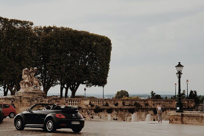 Surprise Walk of Montpellier with a Local - What Travelers Are Saying