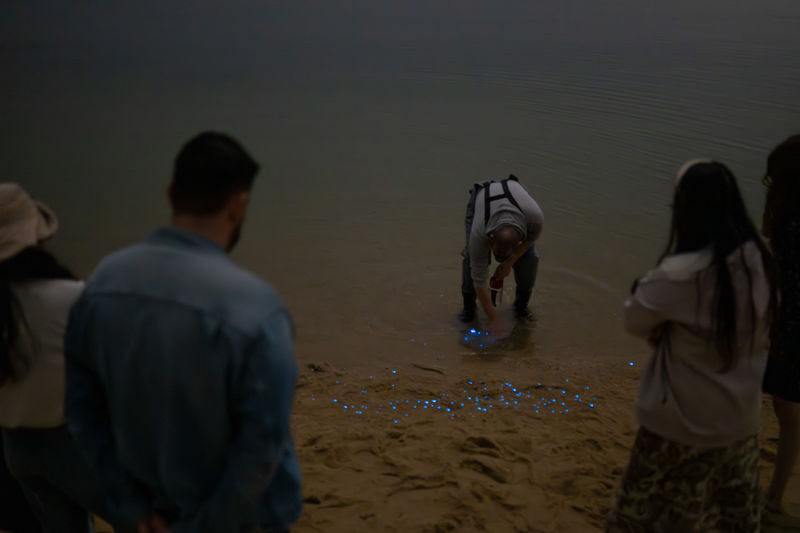 Surreal Marine Bioluminescent Night Experience in Okayama - Should you book the Tamano bioluminescence tour?