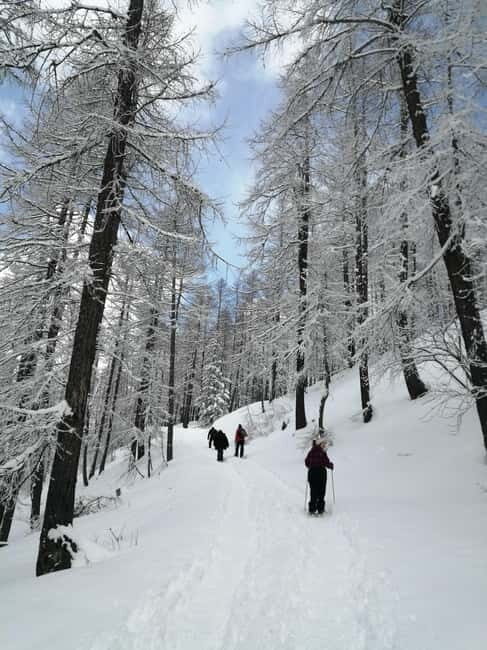 Susa Valley at dawn: snowshoeing in nature and silence - Key Points