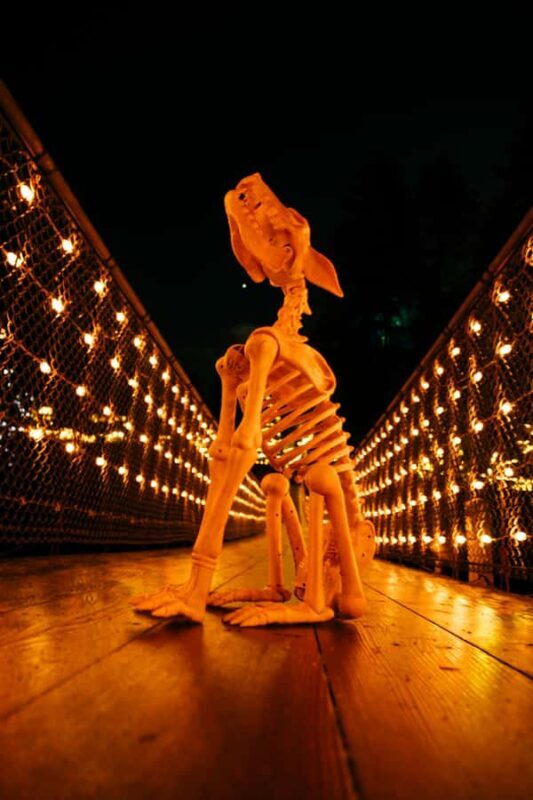 Suspended at Capilano Bridge A 7-Stop Halloween Private Tour - Discover the magic of autumn and Halloween in Vancouver on this private, 6.5-hour tour exploring some of BC’s most scenic and haunting spots.