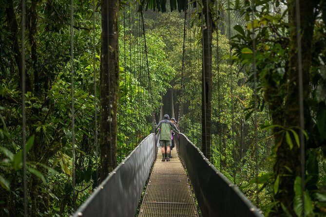 Suspension Bridges, Fortuna waterfall, Typical lunch - Key Points