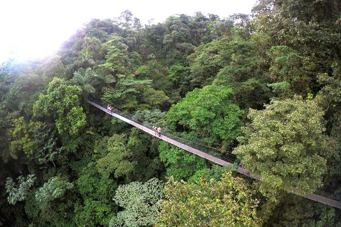 Suspension Bridges, Fortuna waterfall, Typical lunch - Why This Tour Works