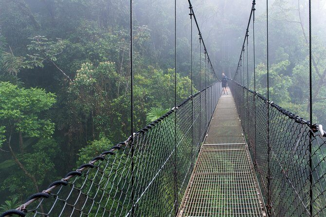 Suspension Bridges, Fortuna waterfall, Typical lunch - Who Should Book This Tour?