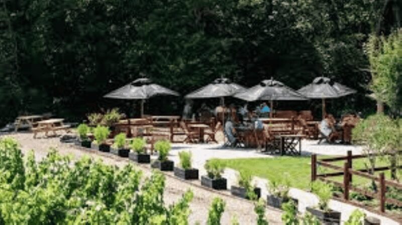 Sussex Vineyard Tour by Minibus - pick up and drop off - A Scenic Day with a Taste of Sussex: Sussex Vineyard Tour by Minibus