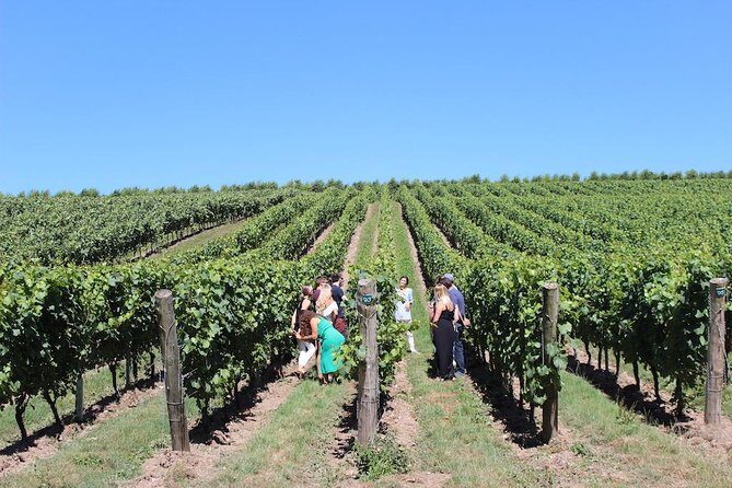Sussex Vineyard & Winery Bus Tour on Iconic Vintage London Bus - FAQ