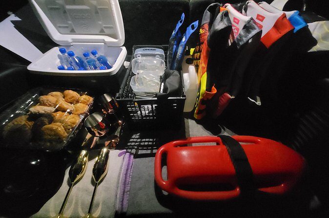 SUV from Cancun Airport to Cancun or Playa del Carmen, one way. - Value and Cost Effectiveness