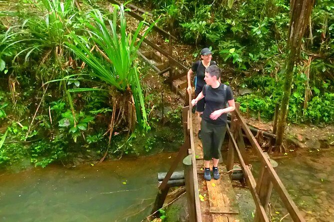 Suva Customized tour- Private - The Complete Guide to Suva’s Customized Private Tour