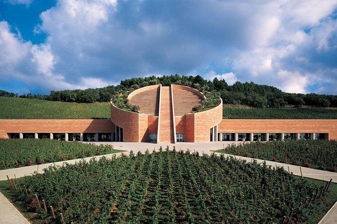 Suvereto Wine Experience PRIVATE TOUR from SIENA - Why Choose This Tour?