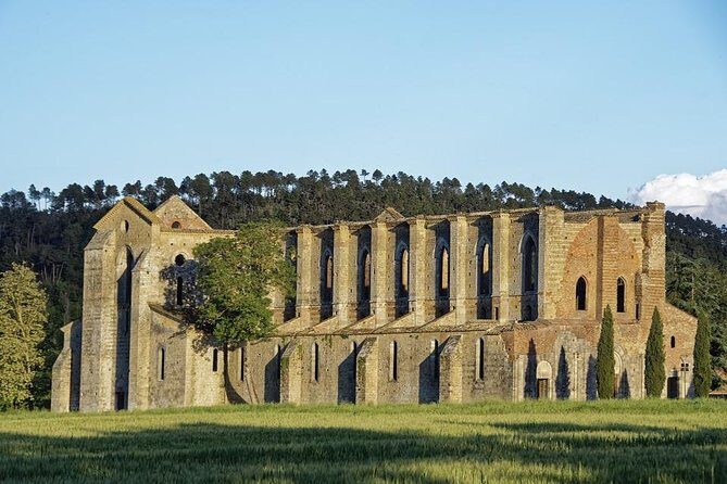 Suvereto Wine Experience PRIVATE TOUR from SIENA - The Sum Up