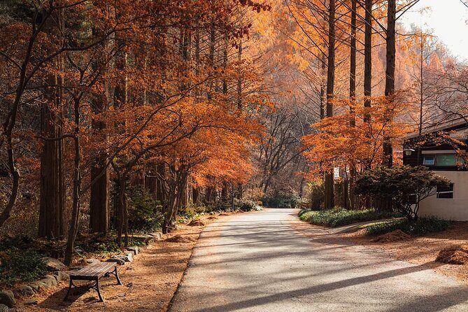 Suwon Hwaseong Fortress & Jangtaesan Full-Day Tour: Autumn Leaves - A Complete Guide to the Suwon Hwaseong Fortress & Jangtaesan Full-Day Tour: Autumn Leaves