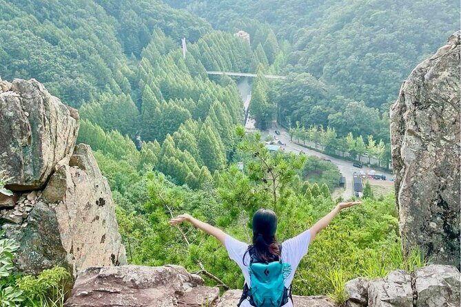 Suwon Hwaseong Fortress & Jangtaesan Full-Day Tour: Autumn Leaves - Practical Tips for Your Day