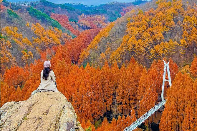 Suwon Hwaseong Fortress & Jangtaesan Full-Day Tour: Autumn Leaves - Who Is This Tour Best For?