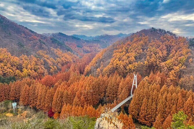 Suwon Hwaseong Fortress & Jangtaesan Full-Day Tour: Autumn Leaves - FAQ