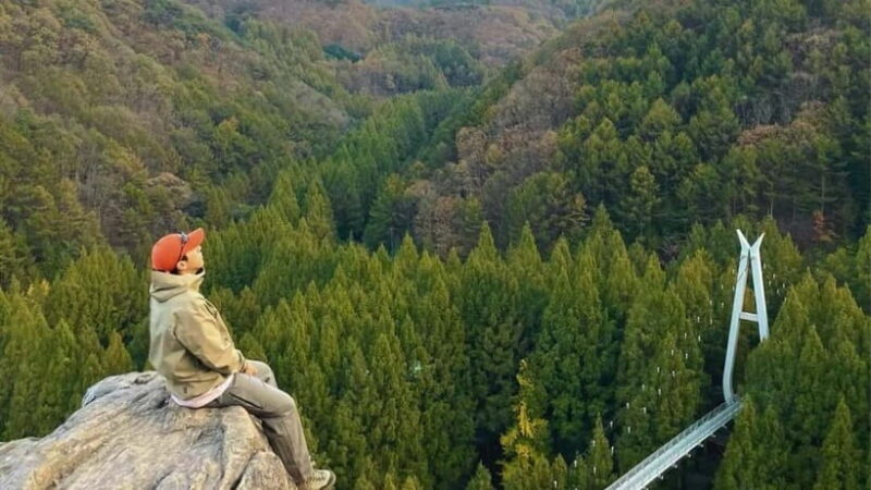 Suwon Hwaseong Fortress & Jangtaesan Tour: Autumn Leaves - Key Points