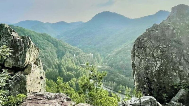 Suwon Hwaseong Fortress & Jangtaesan Tour: Autumn Leaves - Final Thoughts: Who Should Consider This Tour?